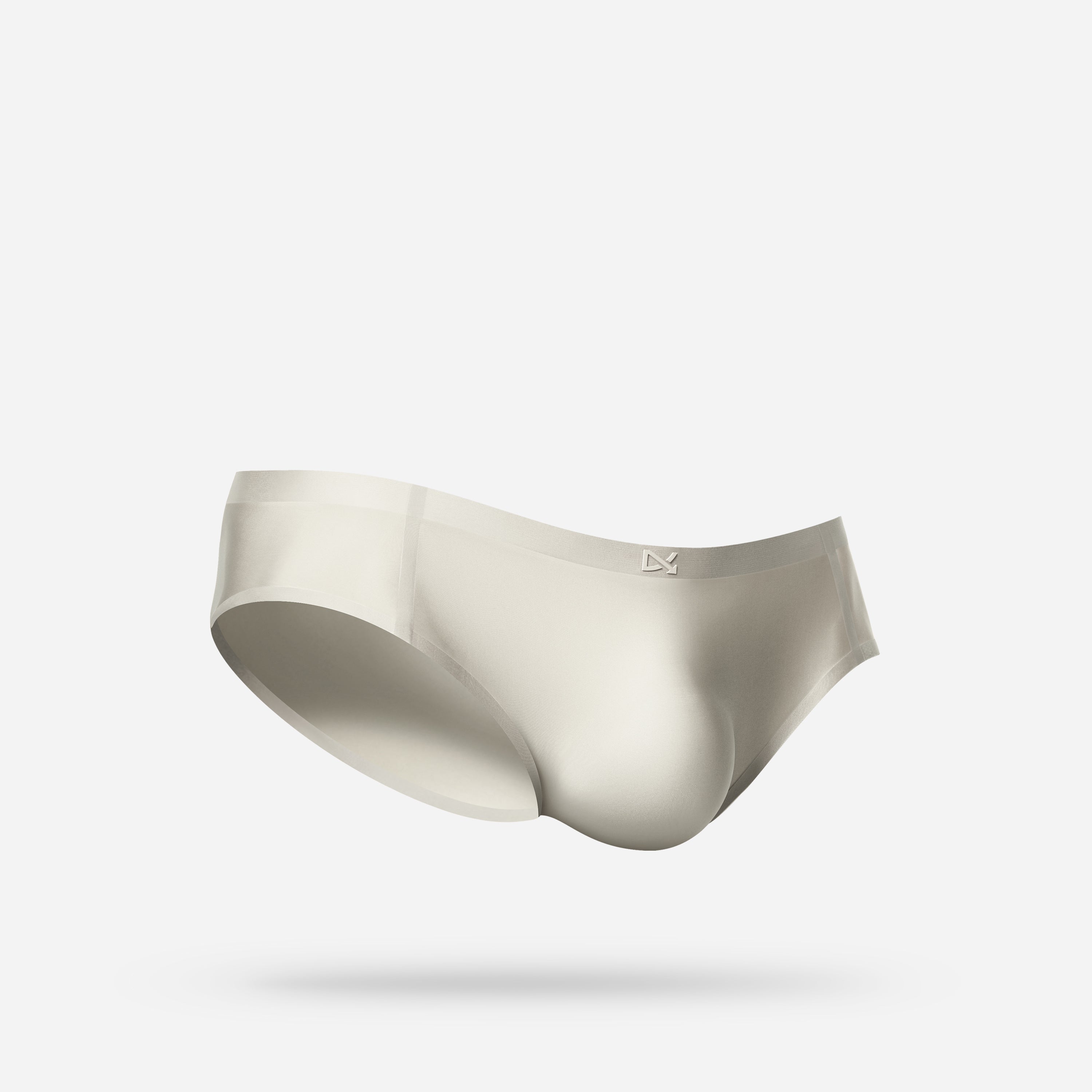 PREVAIL · CLASSIC BRIEF