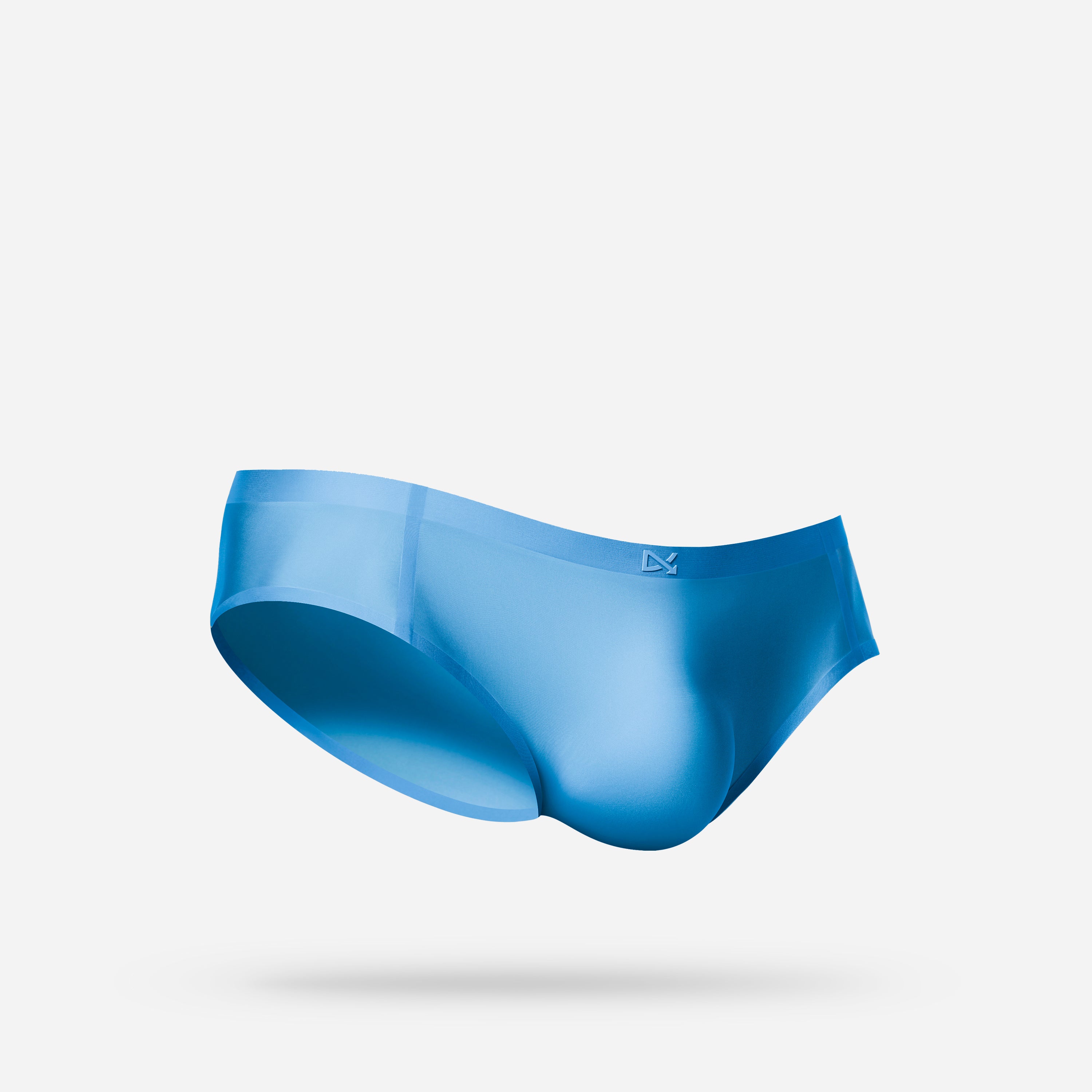 PREVAIL · CLASSIC BRIEF