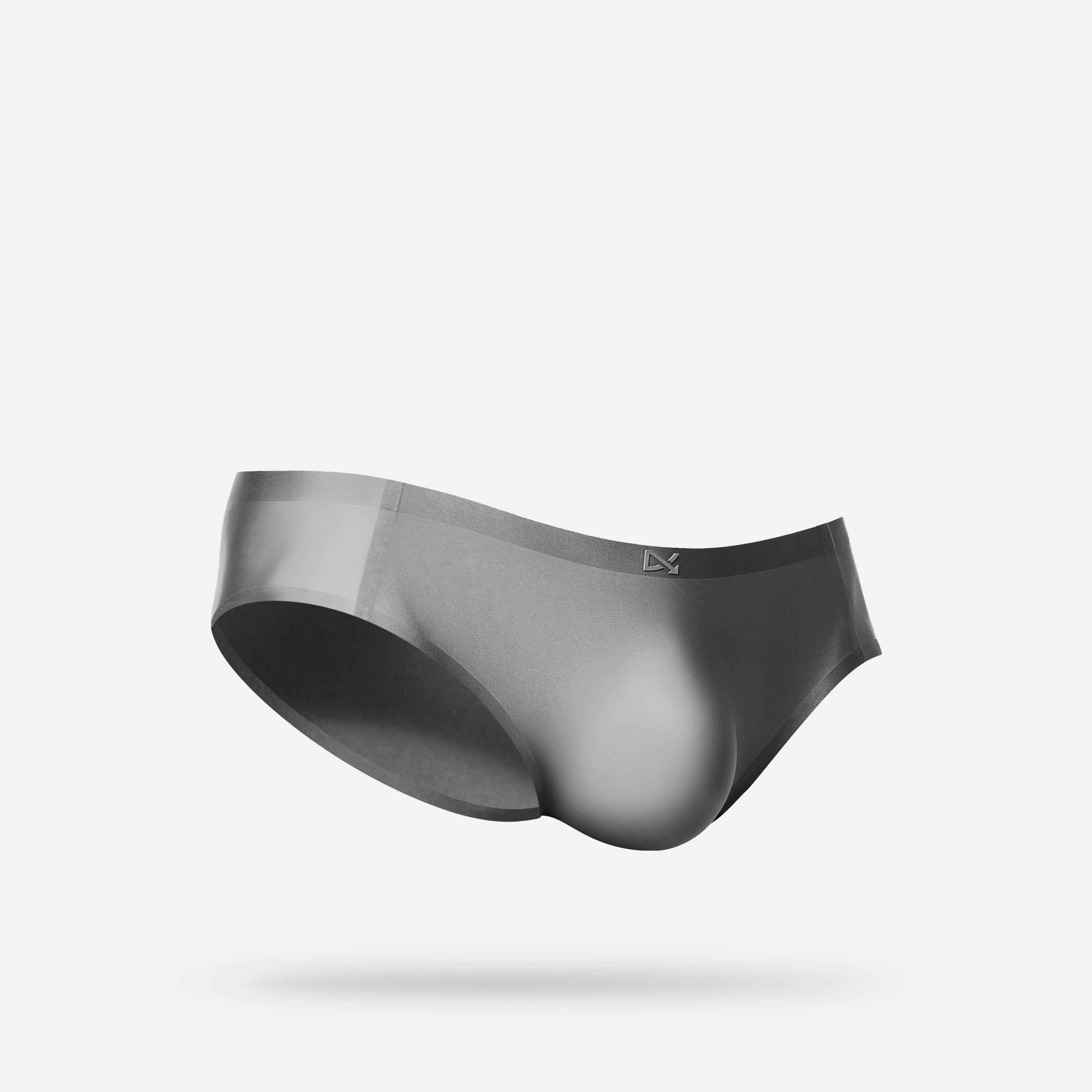 PREVAIL · CLASSIC BRIEF