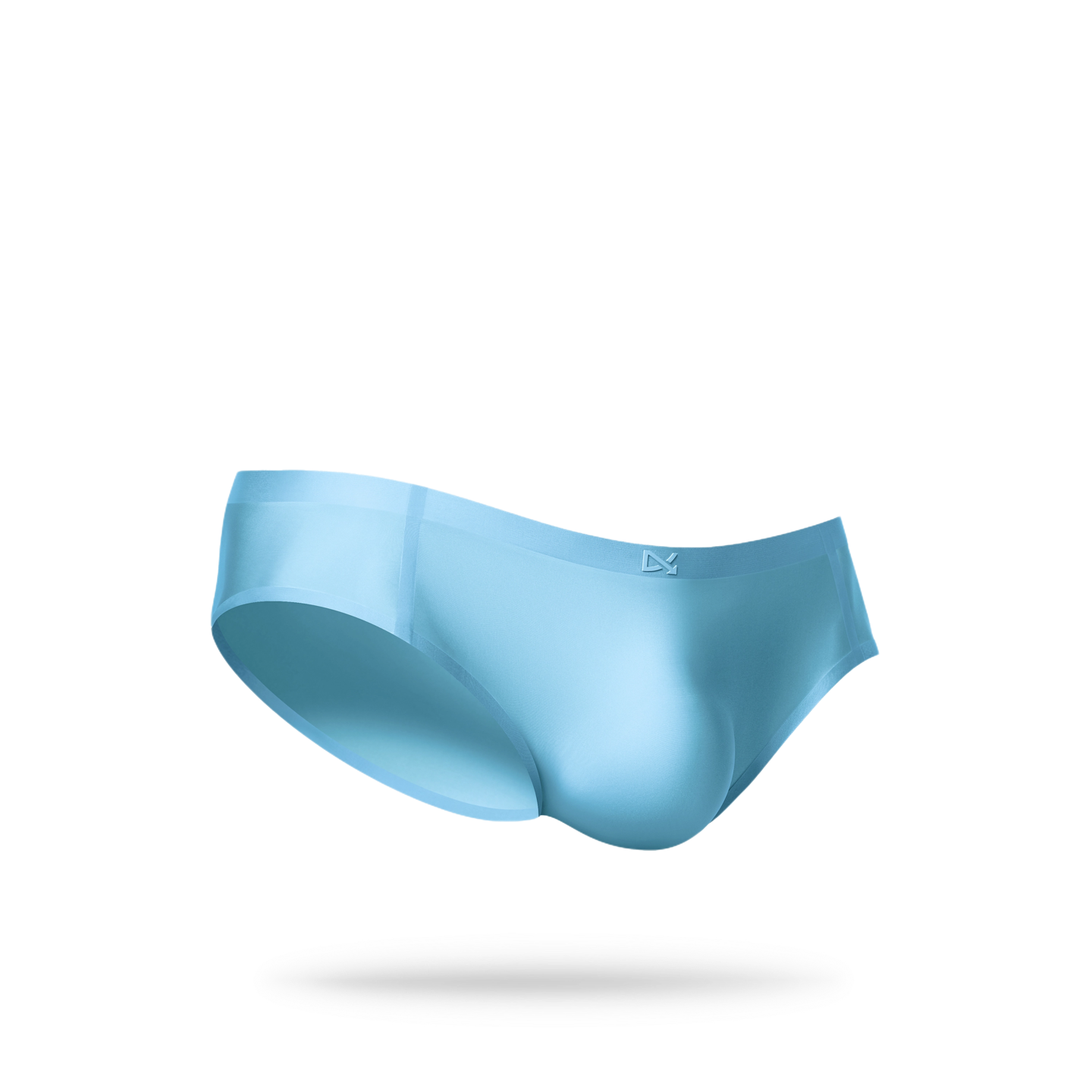 PREVAIL · CLASSIC BRIEF