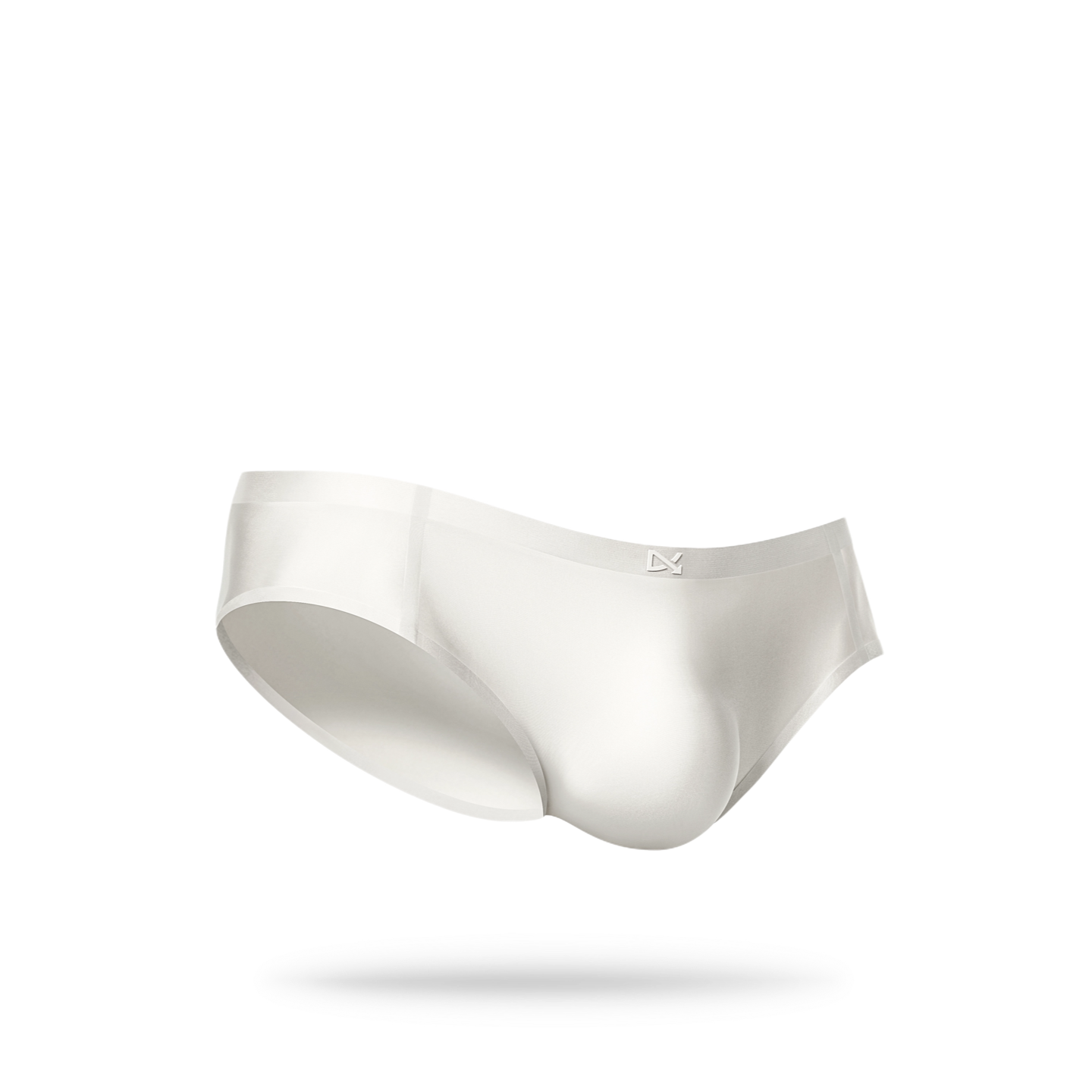 PREVAIL · CLASSIC BRIEF