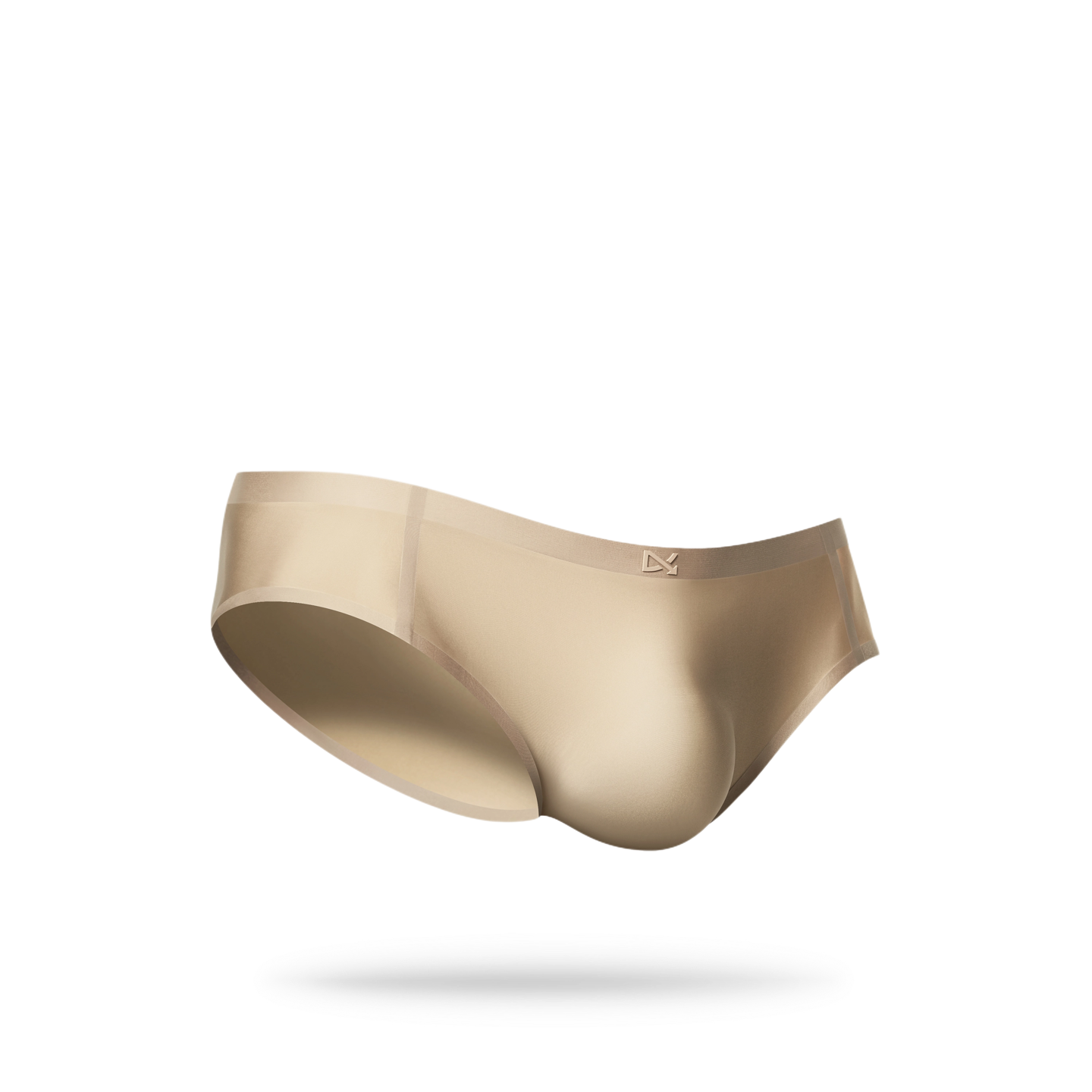 PREVAIL · CLASSIC BRIEF