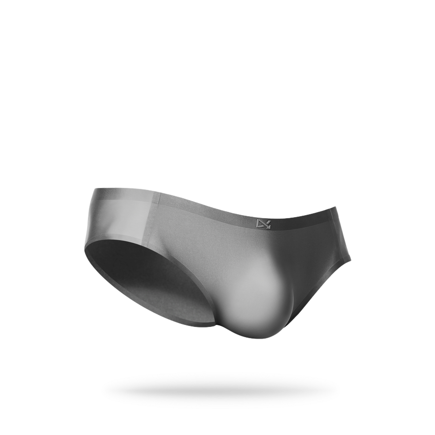 PREVAIL · CLASSIC BRIEF